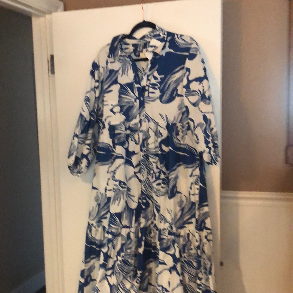 Anthropologie Blue and White Floral Maxi Dress